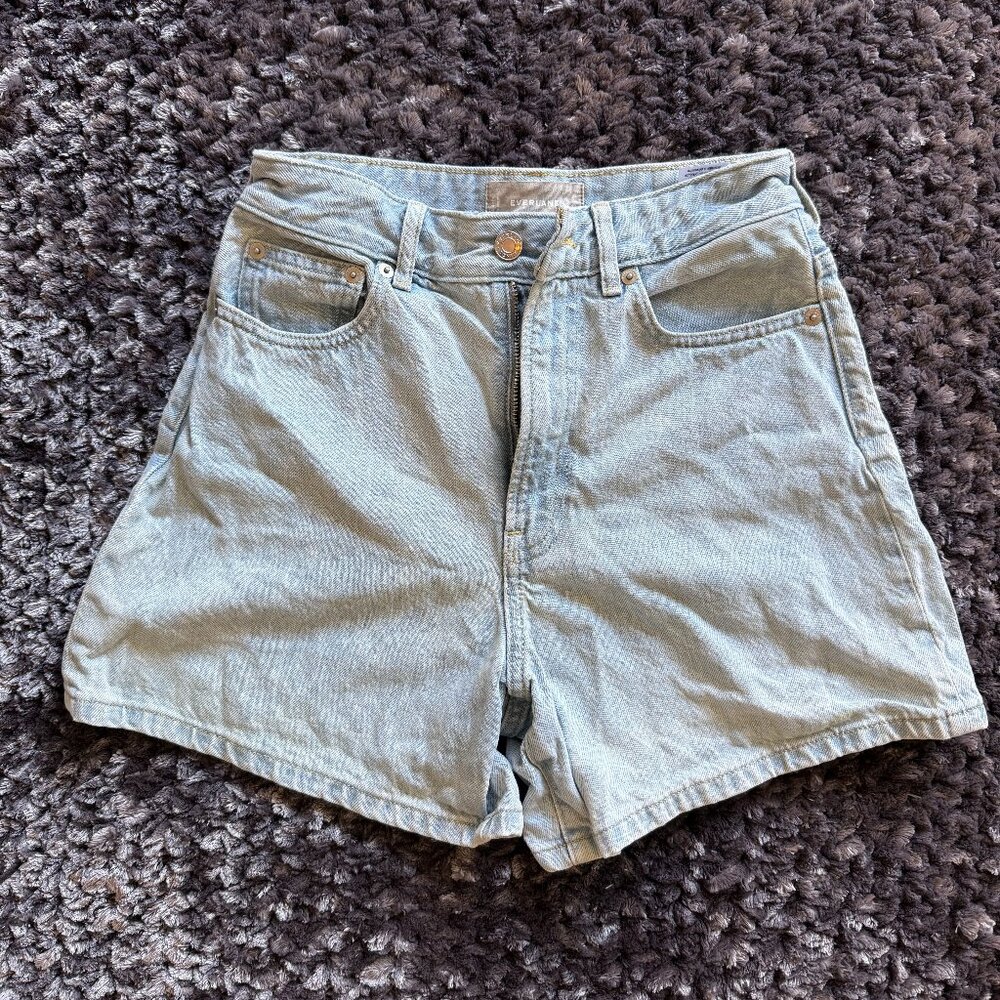 Everlane The A-Line Denim Short (Size 24, Light Indigo)
